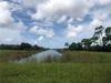 12620 Rotonda Trce photo